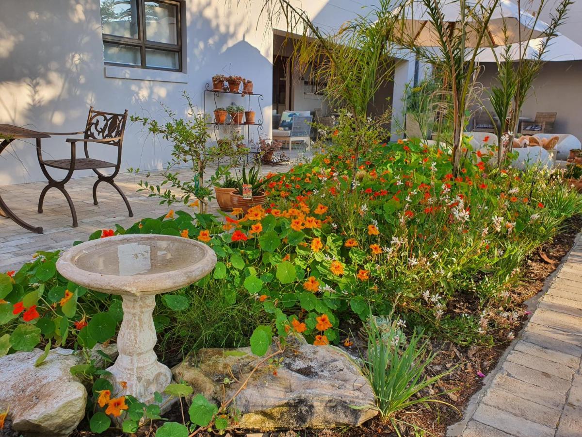 Albatross Guesthouse لانجيبان المظهر الخارجي الصورة