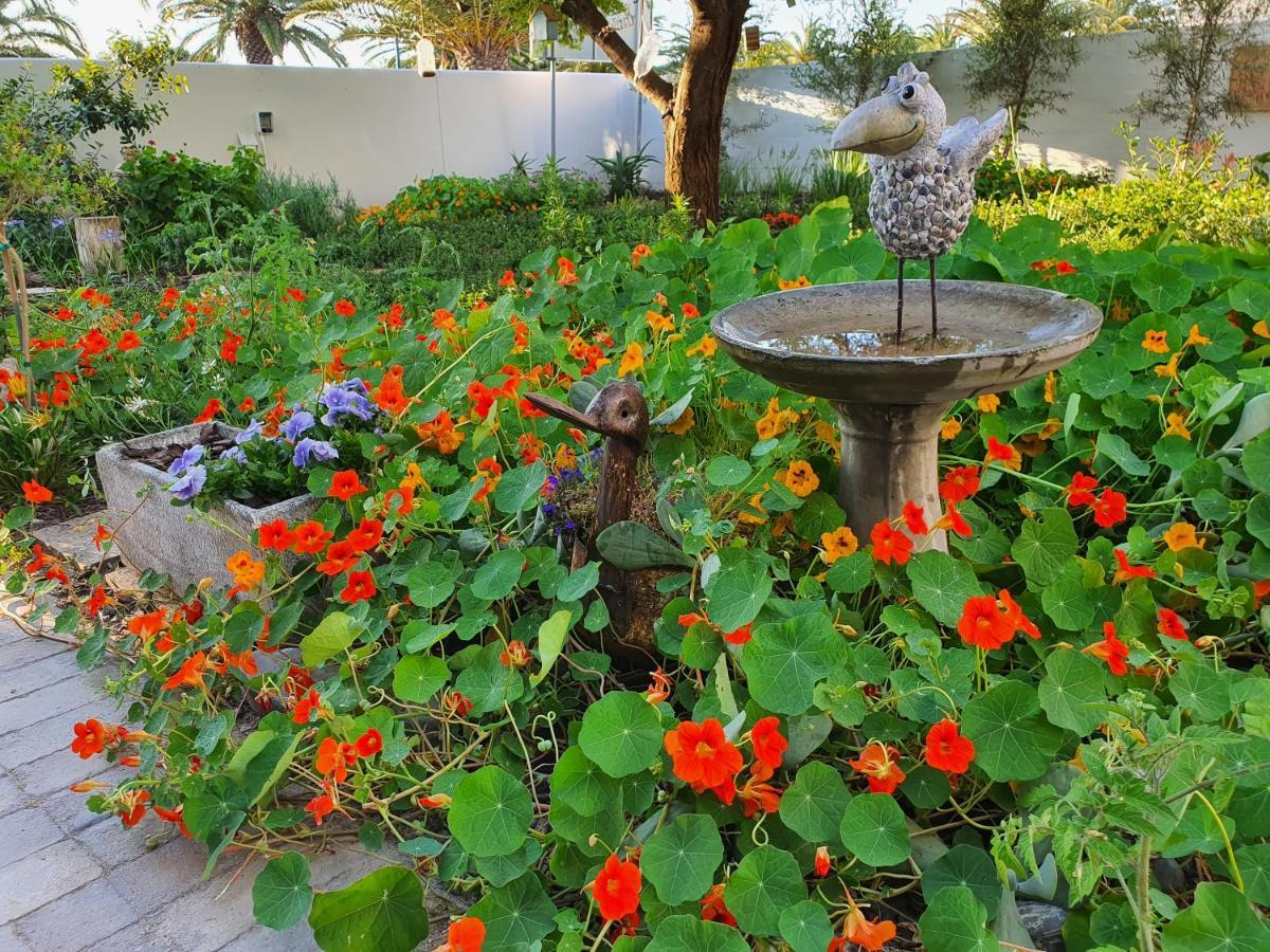 Albatross Guesthouse لانجيبان المظهر الخارجي الصورة